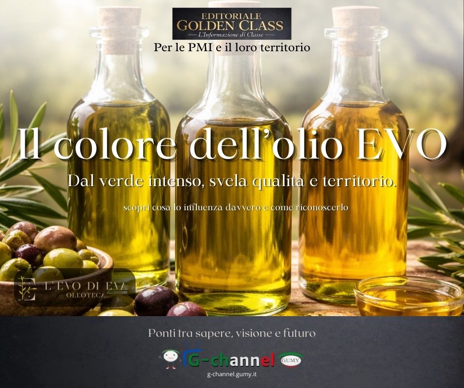 Il colore dell’olio EVO svela qualità e territorio